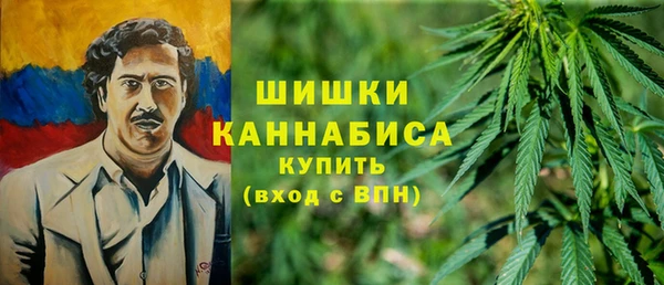 сатива Баксан