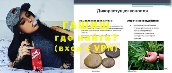 сатива Баксан